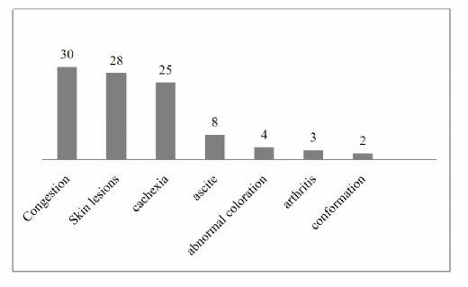 Effects of transport and slaughtering conditions on meat quality during the veterinary inspection of broiler chicken carcass - Image 3