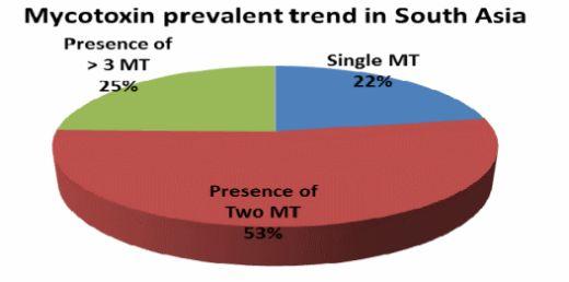 A Comprehensive Mapping of Mycotoxin Prevalence in India - Image 3