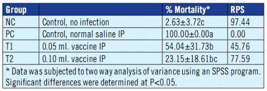 Establishing Safety and Efficacy of an Injectable Form of a Vibrio Vaccine for the Orange-Spotted Grouper - Image 3