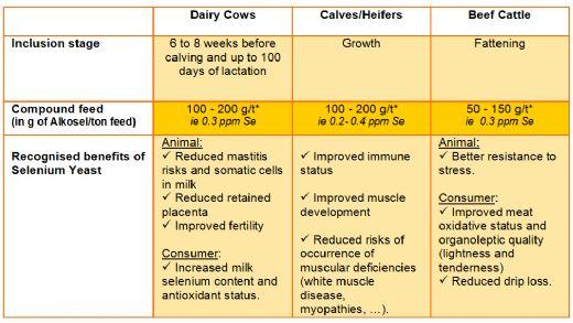 Organic selenium in ruminant diet: can we expect extra benefits beyond animal health? New evidences of improved milk and meat quality - Image 2