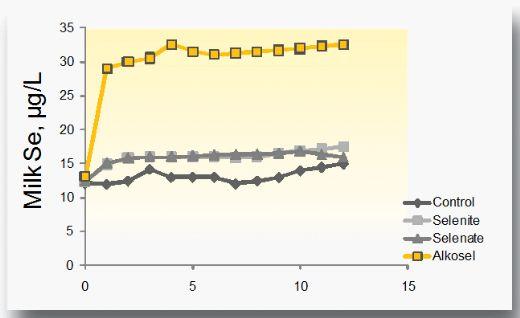 Organic selenium in ruminant diet: can we expect extra benefits beyond animal health? New evidences of improved milk and meat quality - Image 8