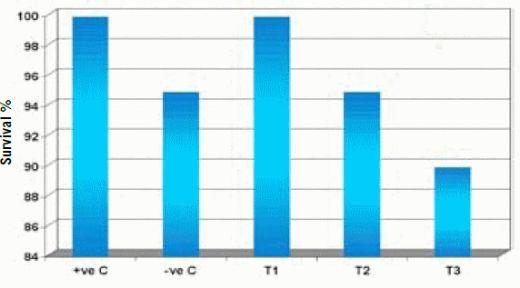 The Safety and Efficacy of a Streptococcus iniae Vaccine in Asian Sea Bass - Image 8