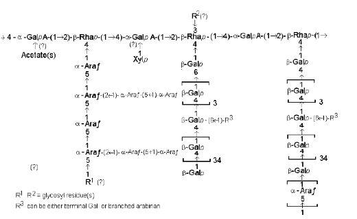Feed Polysaccharides: Nutritional Roles and Effect of Enzymes - Image 5