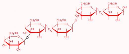 Feed Polysaccharides: Nutritional Roles and Effect of Enzymes - Image 6