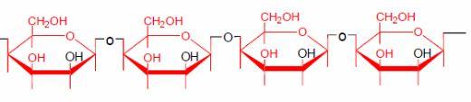 Feed Polysaccharides: Nutritional Roles and Effect of Enzymes - Image 8