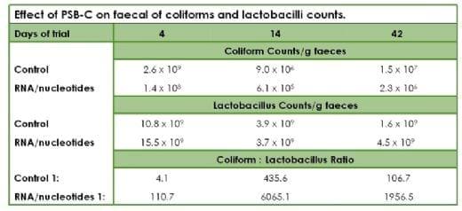 The Use of Nucleotides in Animal Feed - Image 5