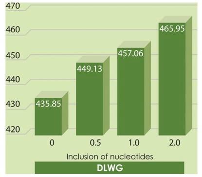 The Use of Nucleotides in Animal Feed - Image 8