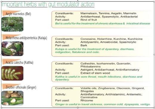 Management of Diarrhoea in Dairy animals - Image 1