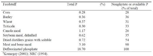 Phytase and Phosphorus: An overview of the U.S. Poultry Industry - Image 1