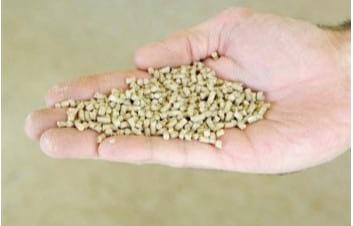Nutrient Requirement of Poultry - Image 1