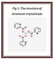 Supranutritional solution to combat stress condition in poultry - Image 4