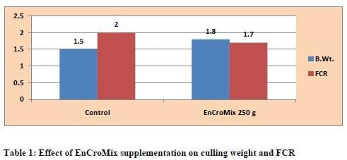 Supranutritional solution to combat stress condition in poultry - Image 7