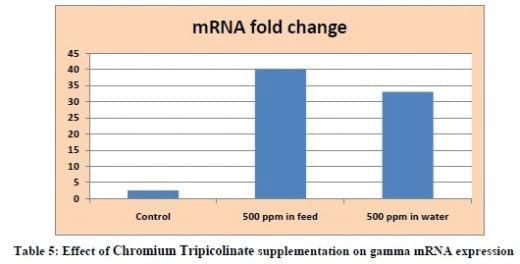 Supranutritional solution to combat stress condition in poultry - Image 11