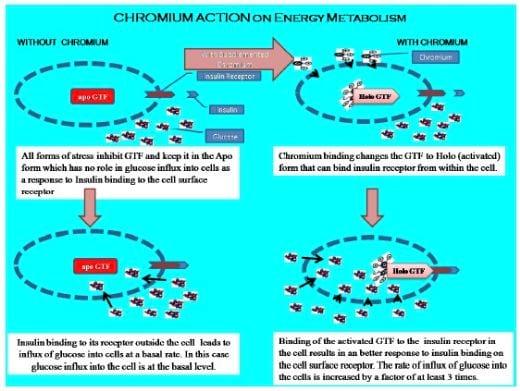 Supranutritional solution to combat stress condition in poultry - Image 6