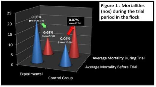 Supranutritional solution to combat stress condition in poultry - Image 14