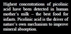 Supranutritional solution to combat stress condition in poultry - Image 3