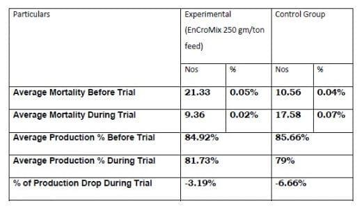 Supranutritional solution to combat stress condition in poultry - Image 13