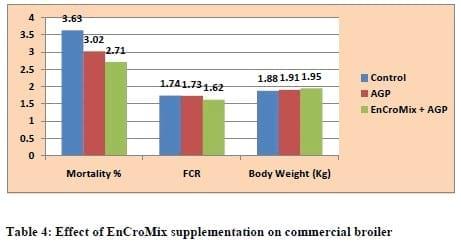 Supranutritional solution to combat stress condition in poultry - Image 10