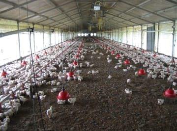 The 8 most often asked Questions on Ventilation in the Field - Image 23