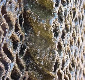 The 8 most often asked Questions on Ventilation in the Field - Image 21