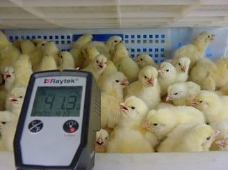 The 8 most often asked Questions on Ventilation in the Field - Image 6