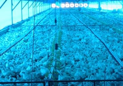 The 8 most often asked Questions on Ventilation in the Field - Image 11