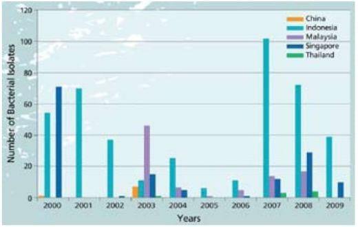 Important Diseases of Farmed Barramundi in Asia - Image 1