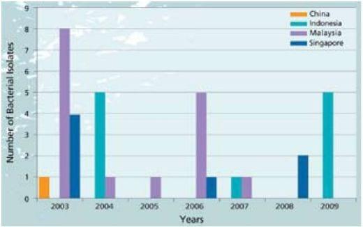 Important Diseases of Farmed Barramundi in Asia - Image 12
