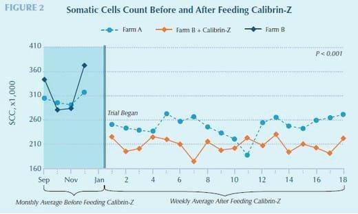Calibrin®-Z Enterosorbent Enhances Dairy Productivity - Image 4