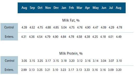 The Benefits of Enterosorbents in Dairy Cows - Image 3