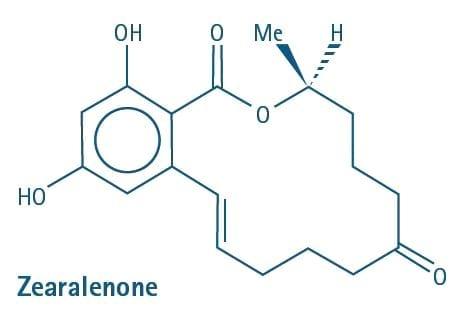 Zearalenone Toxicity, a Significant Factor in Reduced Swine - Image 2