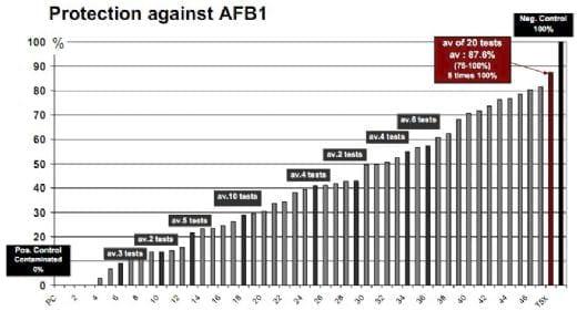 Original in vivo model to test efficacy of aflatoxin B1 binders - Image 5