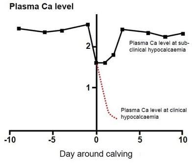 Many years of research has produced results - Image 2