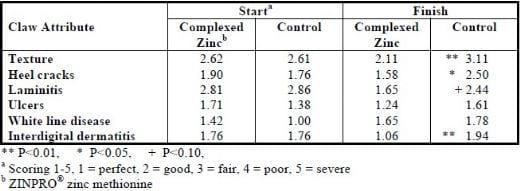 The Role of Trace Minerals in Foot Health - Image 1