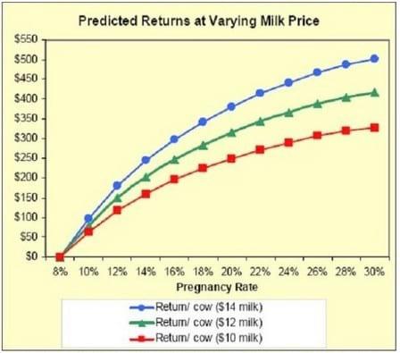 Pregnant vs. Open: Getting Cows Pregnant and the Money it Makes - Image 4