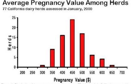 Pregnant vs. Open: Getting Cows Pregnant and the Money it Makes - Image 1