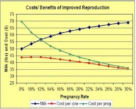 Pregnant vs. Open: Getting Cows Pregnant and the Money it Makes - Image 3