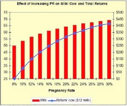 Pregnant vs. Open: Getting Cows Pregnant and the Money it Makes - Image 2