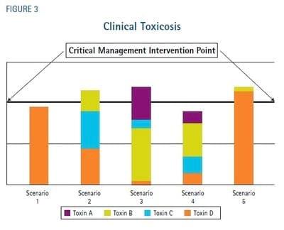 Understanding Mycotoxins - Image 3