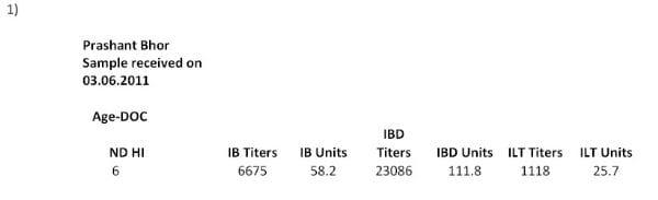 Interpretations & Co-Relations of Viral Diseases viz. IBD, ID, ND & ILT in Commercial Broilers on the Basis of Blood Titer Reports, History, Clinical Signs & Lesions - Image 1