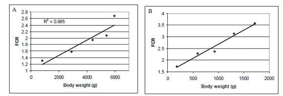 The environmental impact of low feed conversion ratios in poultry - Image 2