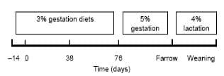 Dietary Fatty Acids Affect the Growth and Performance of Gilt Progeny - Image 2