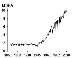 Global feed supply and demand - Image 7