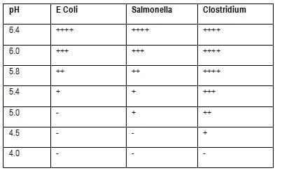 Practical Applications of Formaldehyde and Organic Acids in Control of Enteric Pathogens in Feed and Drinking Water - Image 4
