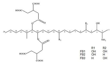 Development and Validation of a Broad Dosage Range Enzyme Immunoassay for the Quantitative Determination of Total Fumonisins in Maize - Image 1