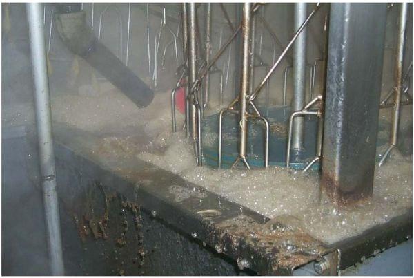 Intervention Strategies for Reducing Salmonella Prevalence on Ready-to-Cook Chicken - Image 11