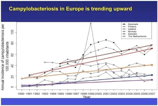 Intervention Strategies for Reducing Salmonella Prevalence on Ready-to-Cook Chicken - Image 30