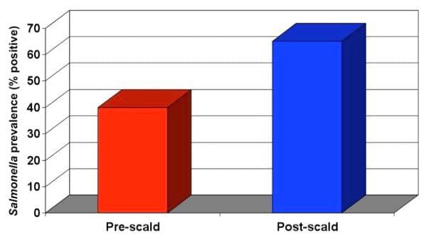 Intervention Strategies for Reducing Salmonella Prevalence on Ready-to-Cook Chicken - Image 17