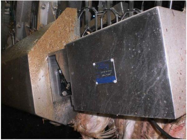 Intervention Strategies for Reducing Salmonella Prevalence on Ready-to-Cook Chicken - Image 8