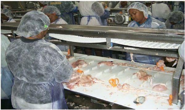 Intervention Strategies for Reducing Salmonella Prevalence on Ready-to-Cook Chicken - Image 7